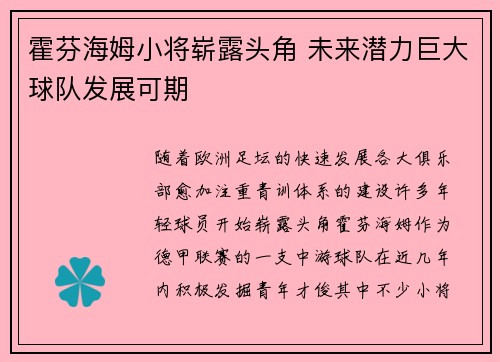 霍芬海姆小将崭露头角 未来潜力巨大球队发展可期